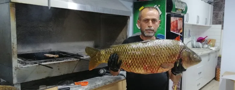 Sakarya Nehri'nde yakalandı: 13 kilo