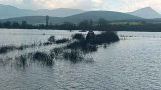 Sakarya Nehri'ndeki adacıkta mahsur kaldılar