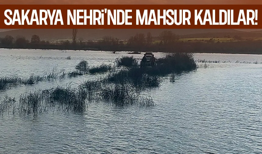 Sakarya Nehri'ndeki adacıkta mahsur kaldılar