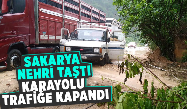 Sakarya Nehri taştı