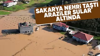 Sakarya Nehri taştı