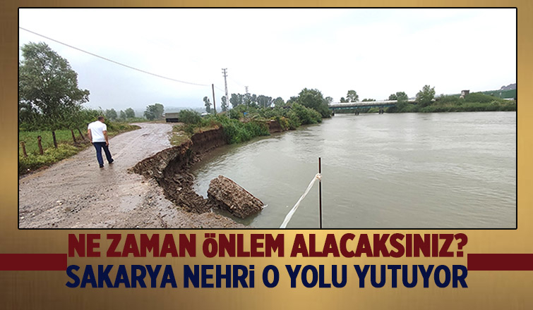 Sakarya Nehri yolu yutuyor