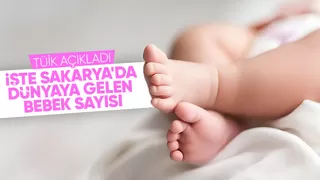 Sakarya'nın doğum istatistikleri açıklandı