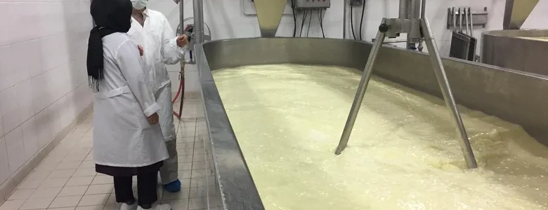 Sakarya'nın gıda denetim raporu açıklandı