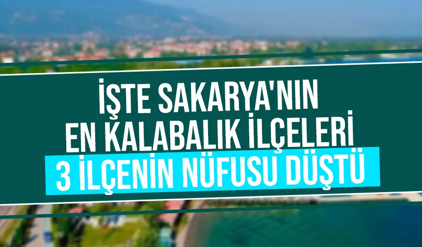Sakarya'nın ilçe ilçe nüfus sayıları