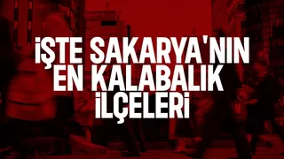 Sakarya'nın ilçe ilçe nüfus sayıları