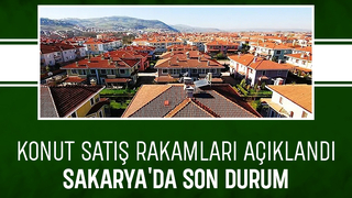 Sakarya'nın konut satış rakamları açıklandı