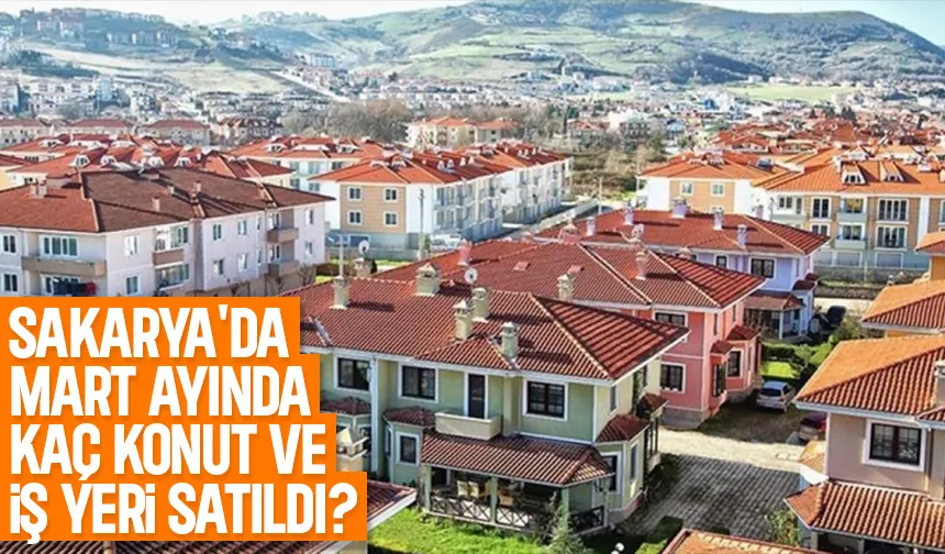 Sakarya'nın konut ve iş yeri satış rakamları açıklandı
