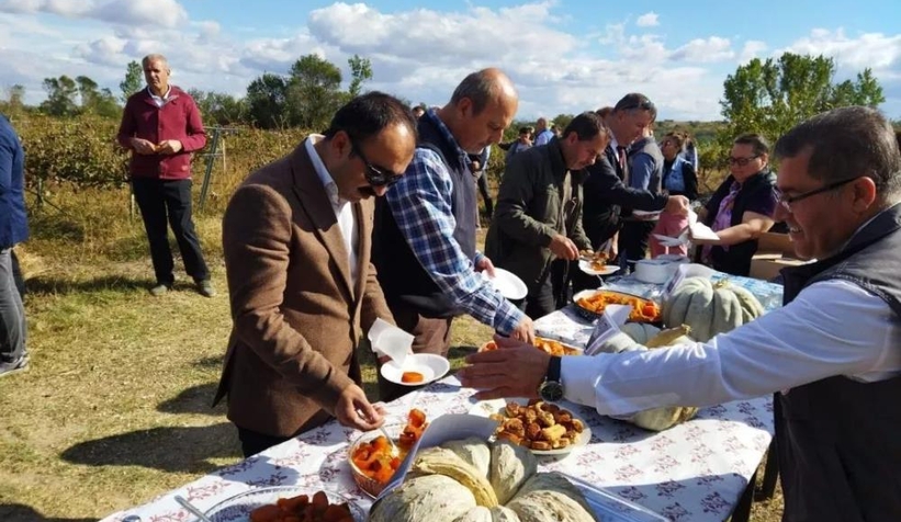 Sakarya'nın tescilli yerli kabakları Kırklareli’nde tanıtıldı