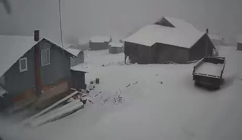 Sakarya'nın yüksek kesimlerinde kar yağışı sürüyor