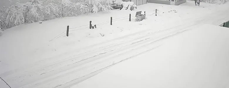 Sakarya'nın yüksek kesimlerinden kar fotoğrafları