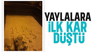 Sakarya'nın yüksek kesimlerine ilk kar düştü