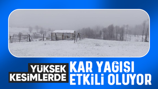 Sakarya'nın yüksek kesimlerine kar yağdı