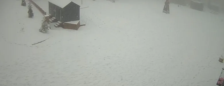 Sakarya'nın yüksek kesimlerine kar yağdı