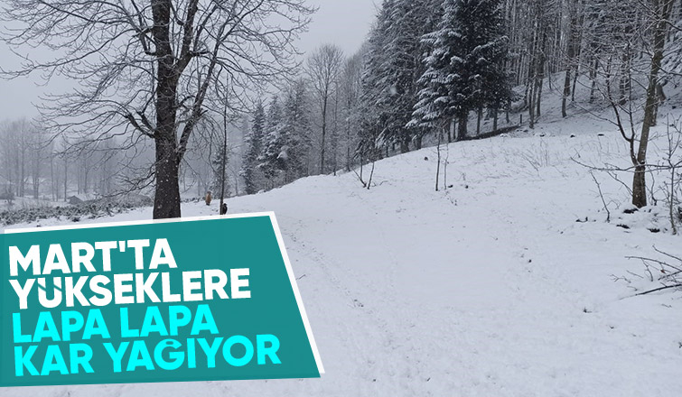 Sakarya'nın yükseklerine kar yağıyor