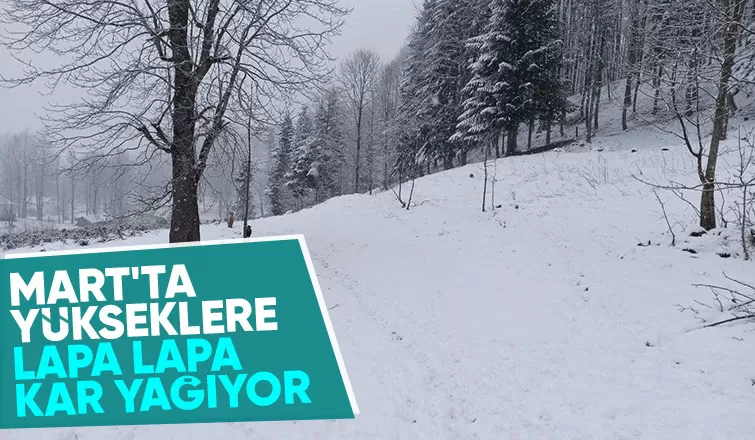 Sakarya'nın yükseklerine kar yağıyor