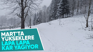 Sakarya'nın yükseklerine kar yağıyor