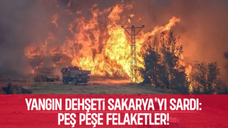 Sakarya orman yangınları ile boğuşuyor; İki ilçede 3 yangın