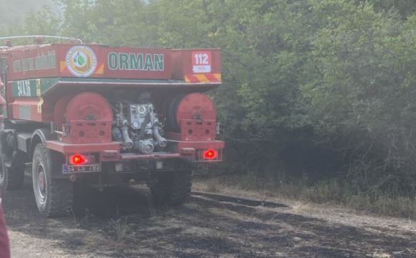 Sakarya sınırında orman yangını
