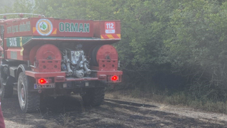 Sakarya sınırında orman yangını