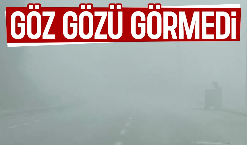 Sakarya sisli güne uyandı