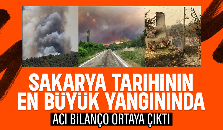 Sakarya tarihinin en büyük yangınında kilometrekarelik alan kül oldu