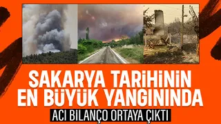 Sakarya tarihinin en büyük yangınında kilometrekarelik alan kül oldu