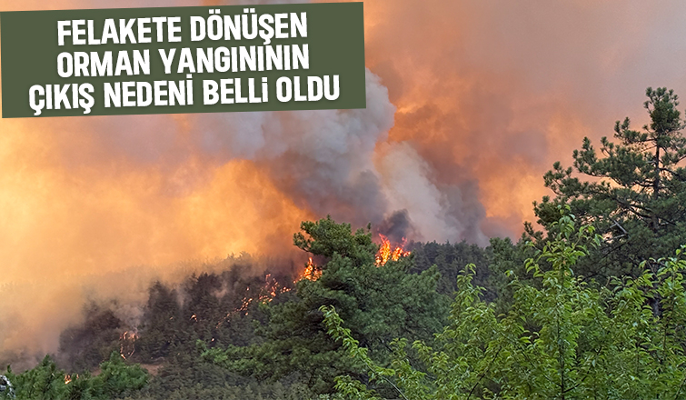 Sakarya tarihinin en büyük yangınının çıkış nedeni belirlendi