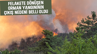 Sakarya tarihinin en büyük yangınının çıkış nedeni belirlendi