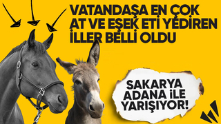 Sakarya vatandaşa en çok at ve eşek eti yediren ikinci şehir