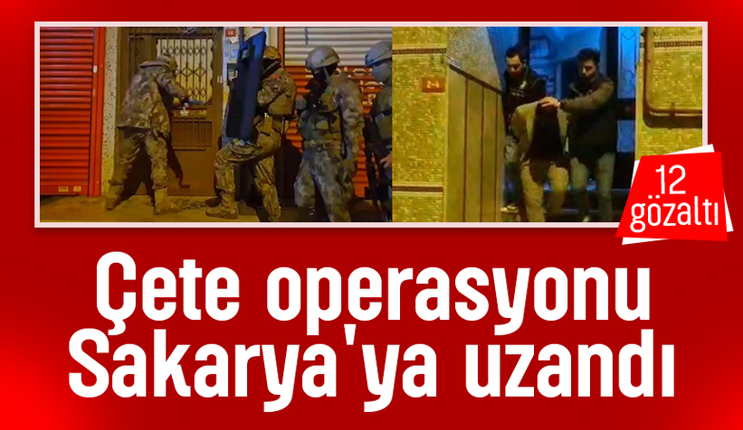 Sakarya ve İstanbul'da çete operasyonu