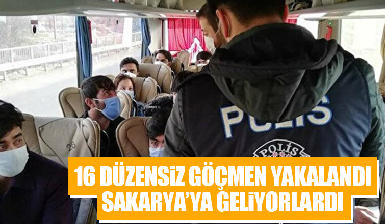 Sakarya'ya yola çıkan 16 düzensiz göçmen yakalandı
