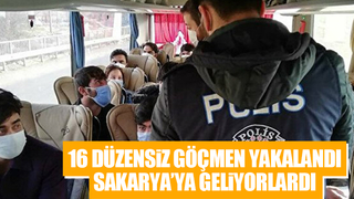 Sakarya'ya yola çıkan 16 düzensiz göçmen yakalandı