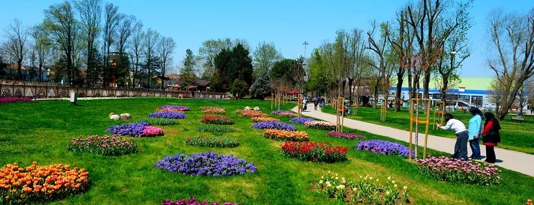 Sakarya’da baharın büyüleyici cümbüşü