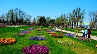 Sakarya’da baharın büyüleyici cümbüşü