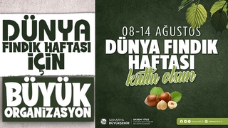 Sakarya’da Dünya Fındık Haftası için büyük organizasyon