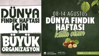 Sakarya’da Dünya Fındık Haftası için büyük organizasyon