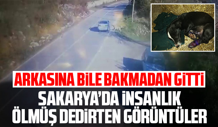 Sakarya’da insanlık ölmüş dedirten görüntüler
