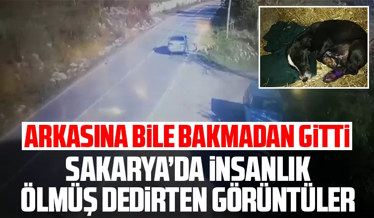 Sakarya’da insanlık ölmüş dedirten görüntüler