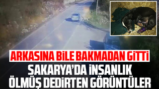 Sakarya’da insanlık ölmüş dedirten görüntüler