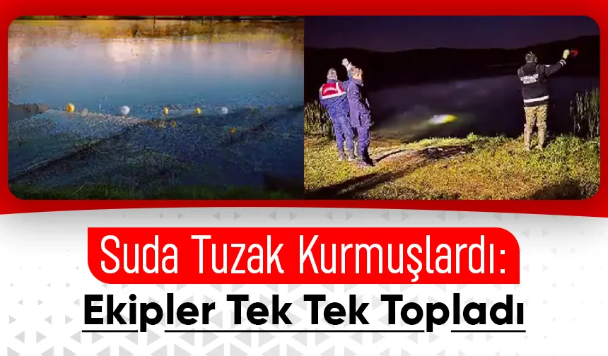 Sakarya’da kaçak av operasyonu