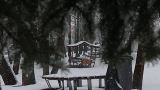 Sakarya’da kar yağışı etkili oluyor