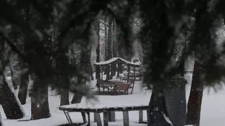 Sakarya’da kar yağışı etkili oluyor
