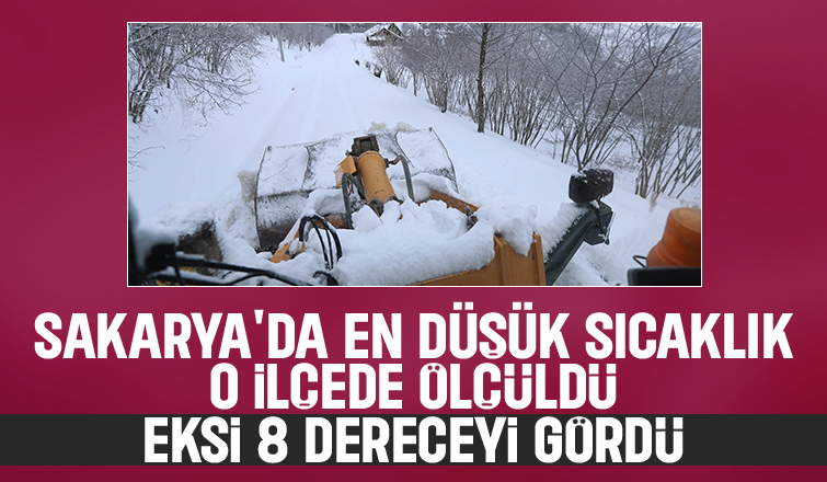 Sakaryada o ilçe adeta buz kesti