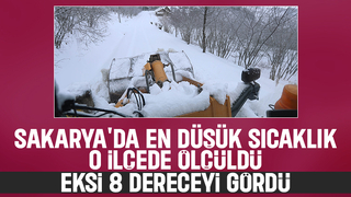 Sakaryada o ilçe adeta buz kesti