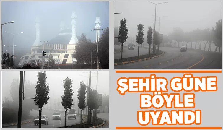 Sakarya’da sis