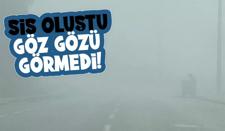Sakarya’da sis