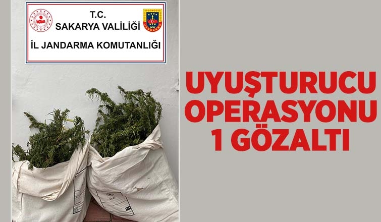 Sakarya’da uyuşturucu operasyonu: 1 gözaltı