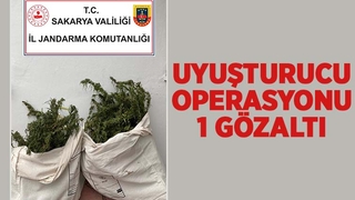 Sakarya’da uyuşturucu operasyonu: 1 gözaltı