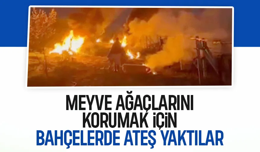 Sakaryalı çiftçiler geceyi bahçelerde ateş yakarak geçirdi